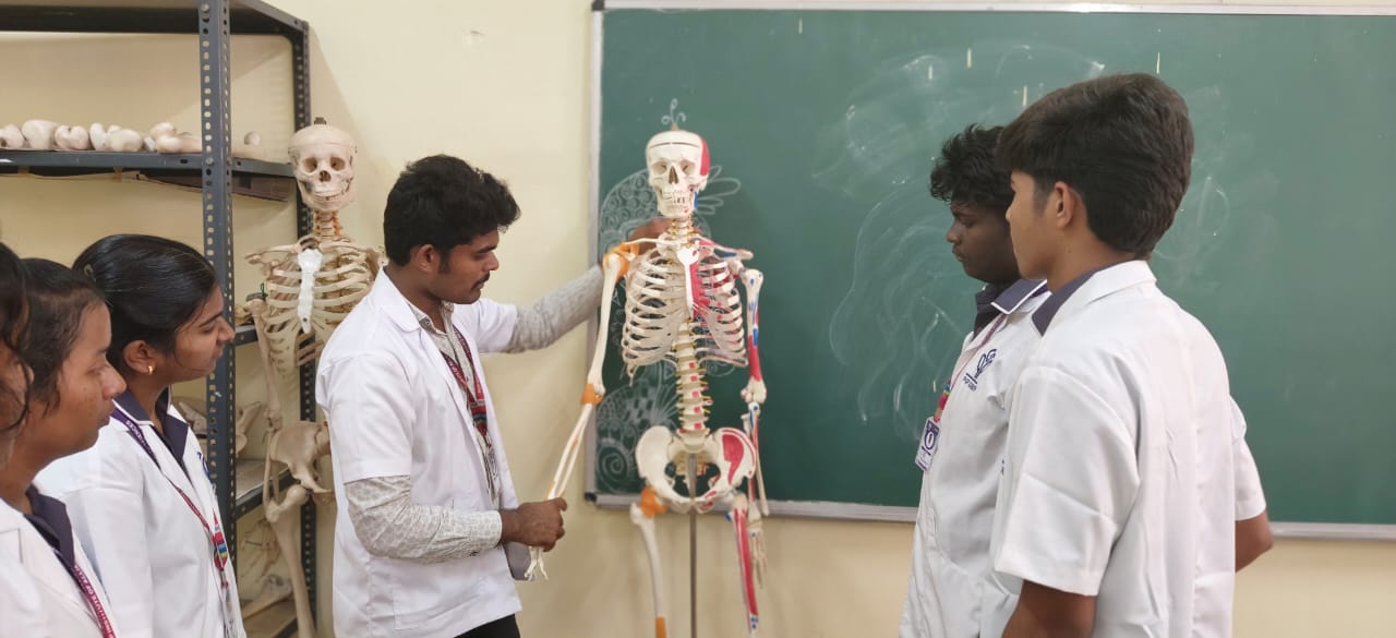 Anatomy and Physiology Lab